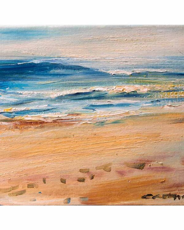 Playa 32