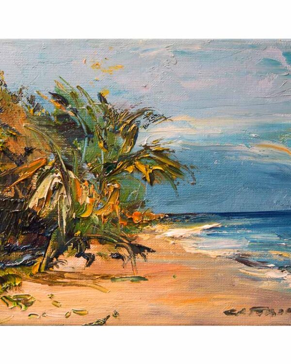 Playa 44