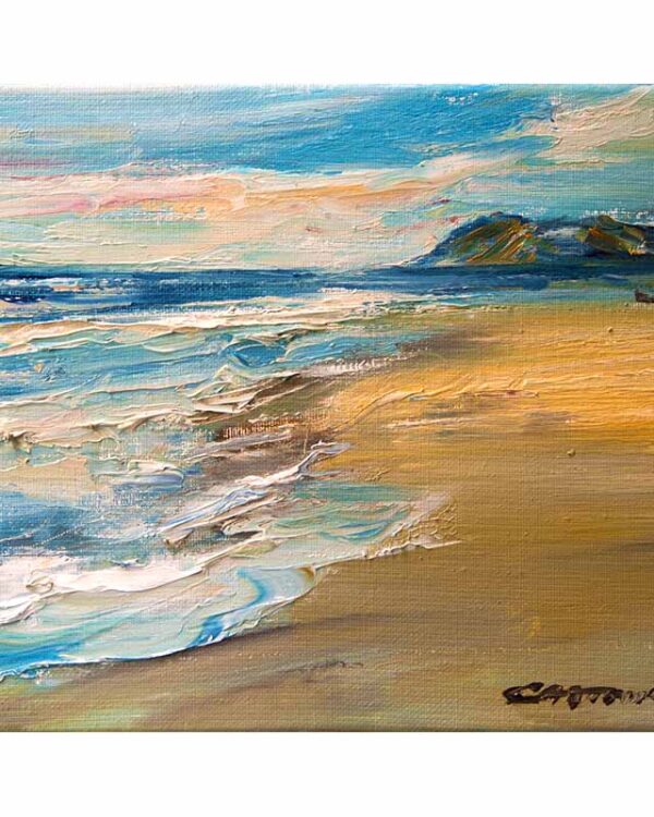 Playa 31