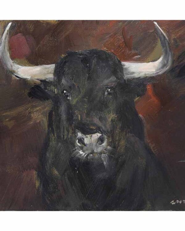 Cabeza de toro bravo