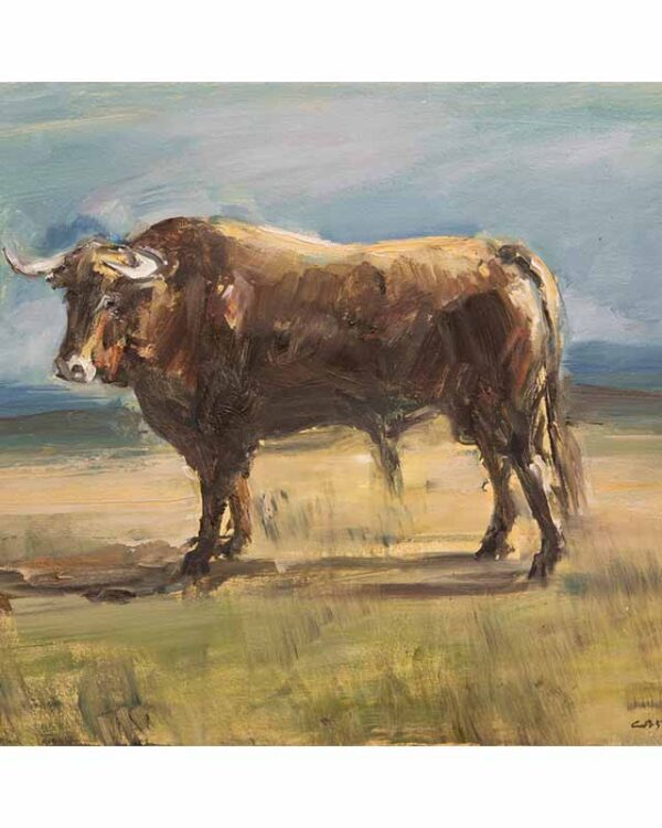 Toro en el campo