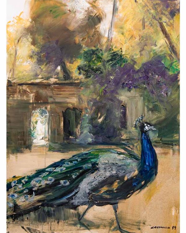 Pavo Real en un Jardín de Granada