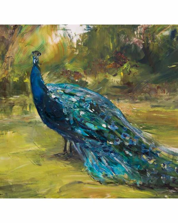 Pavo Real en un Jardín